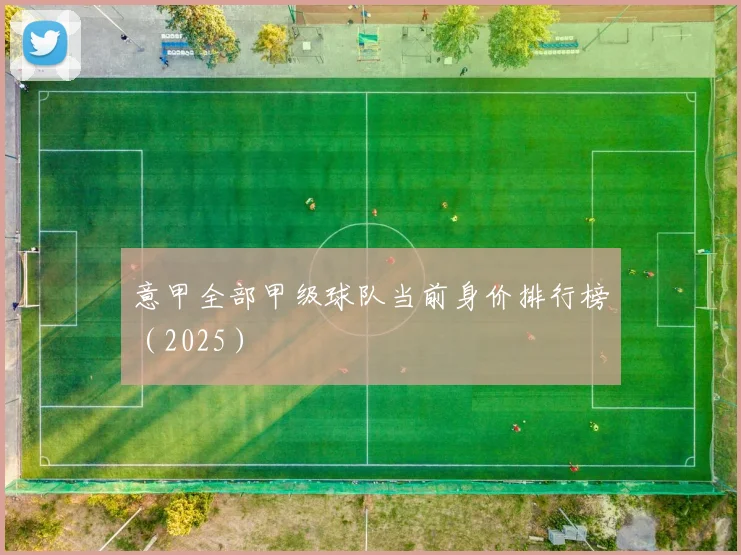意甲全部甲级球队当前身价排行榜（2025）