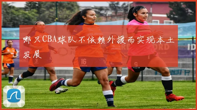 哪只CBA球队不依赖外援而实现本土发展