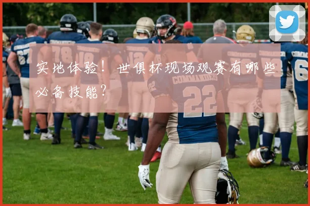 实地体验！世俱杯现场观赛有哪些必备技能？