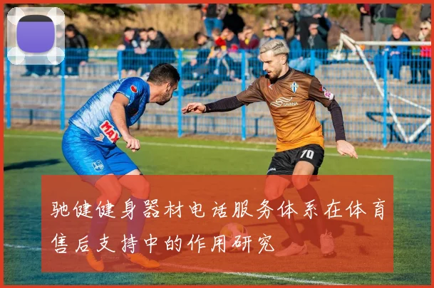 驰健健身器材电话服务体系在体育售后支持中的作用研究