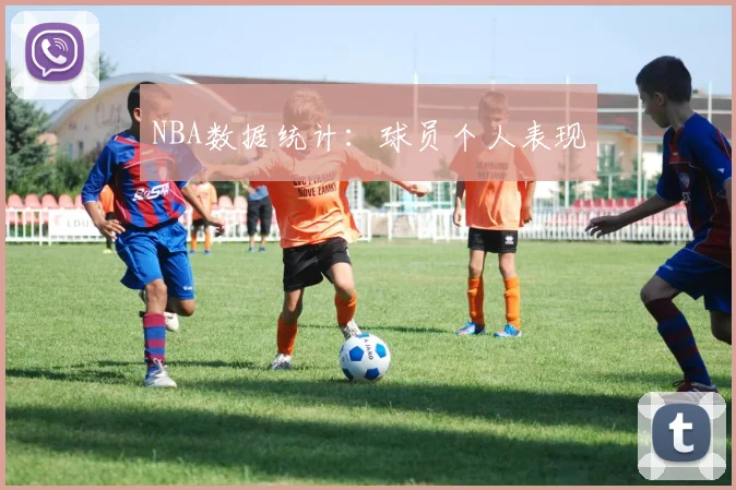 NBA数据统计：球员个人表现